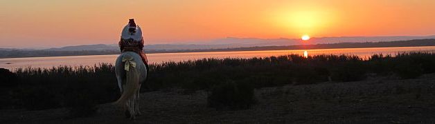 Pferd mit Reiter im Sonnenuntergang